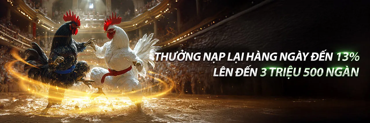 Banner quảng cáo sòng bạc trực tuyến rik